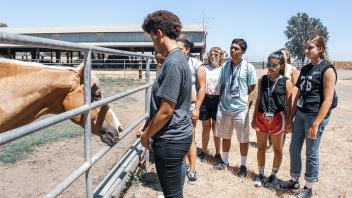 UC Davis Pre-collge students on a field trip to a local barn