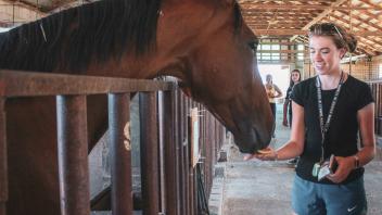 A UC Davis Pre-college student feeds watermelon to a horse during a nutrition and behavior lab