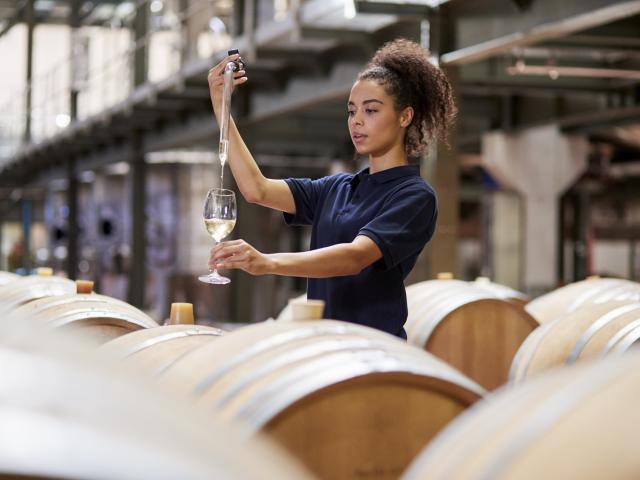 Female winemaker testing wine from a barrel